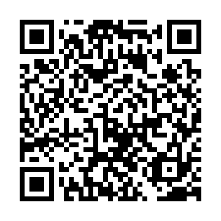 QR code for DUG 333
