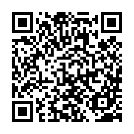 QR code for plate DUH 487