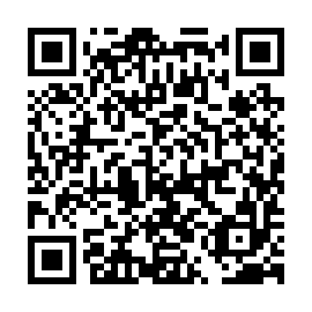 QR code for DUI 292