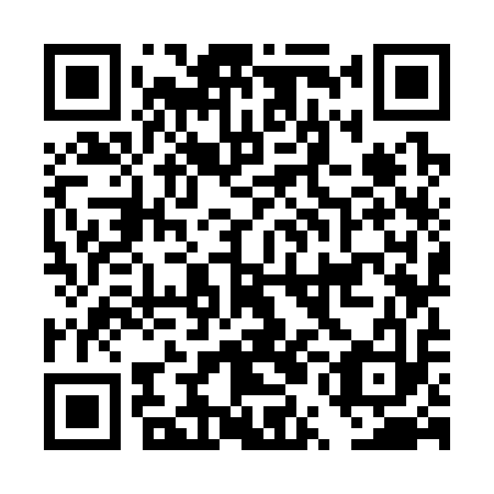 QR code for plate DUK 313