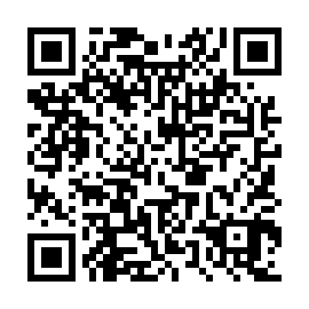 QR code for DUL 500