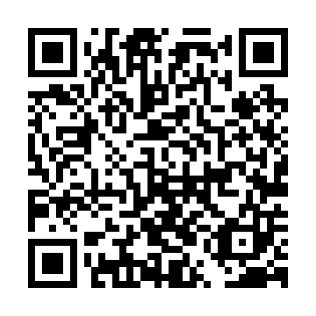QR code for DUL203