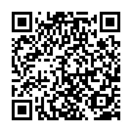 QR code for plate DUL 358