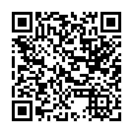 QR code for DUM 313