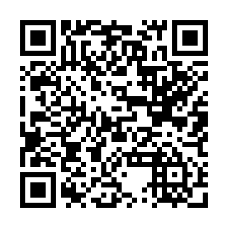 QR code for plate DUM 355