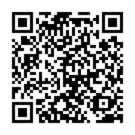 QR code for DUM729