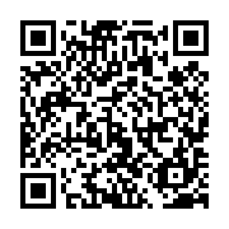 QR code for plate DUN 494