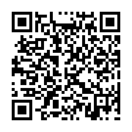 QR code for DUP 246