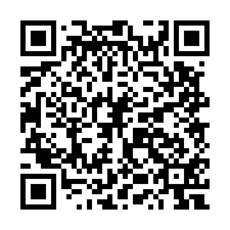 QR code for DUP 511