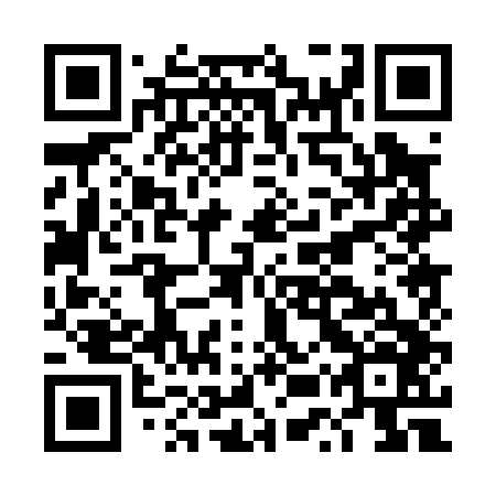 QR code for plate DUP 046