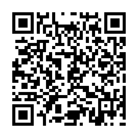 QR code for plate DUP 331