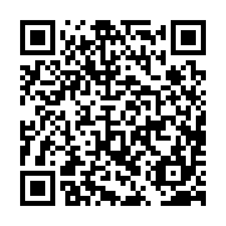 QR code for plate DUP 394
