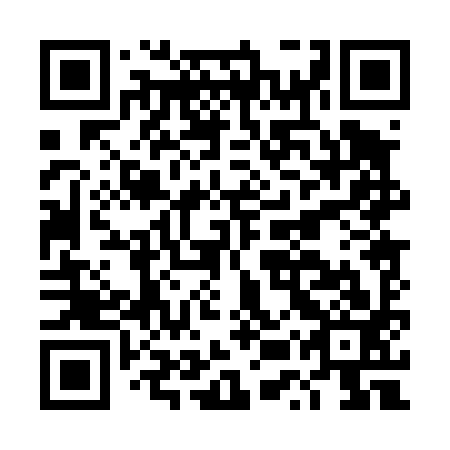 QR code for DUP493