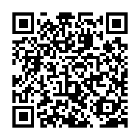 QR code for DUR 729