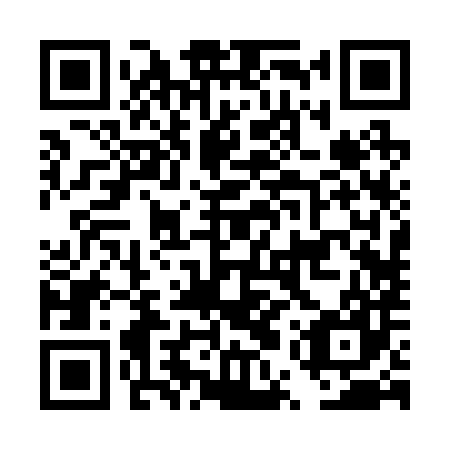 QR code for plate DUR 287