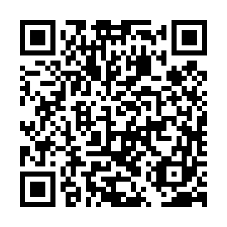 QR code for plate DUR 463