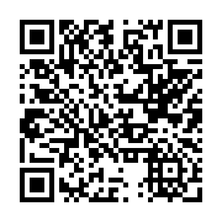 QR code for plate DUR 696
