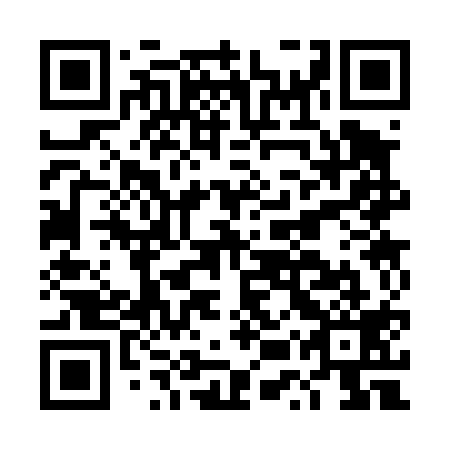 QR code for DUS419
