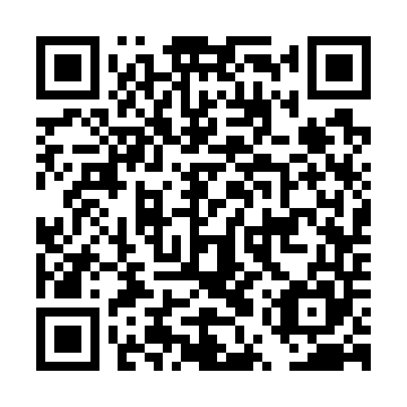 QR code for plate DUS 745