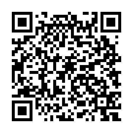 QR code for DUT 335