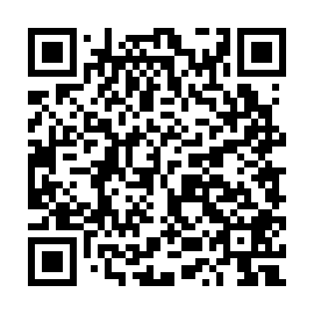 QR code for DUT308