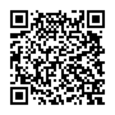 QR code for plate DUT 432