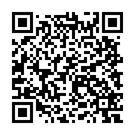 QR code for DUT529