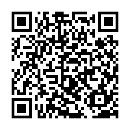 QR code for plate DUU 234