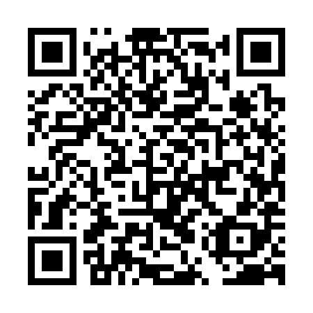 QR code for plate DUU 388