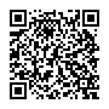 QR code for DUX 221