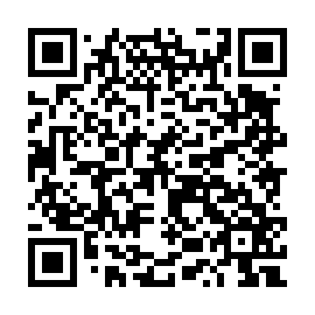 QR code for DUX 466