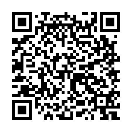 QR code for plate DUZ 110