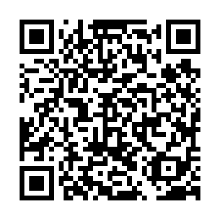 QR code for plate DUZ 619