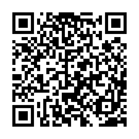 QR code for DV 0593