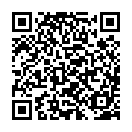 QR code for DV 0595