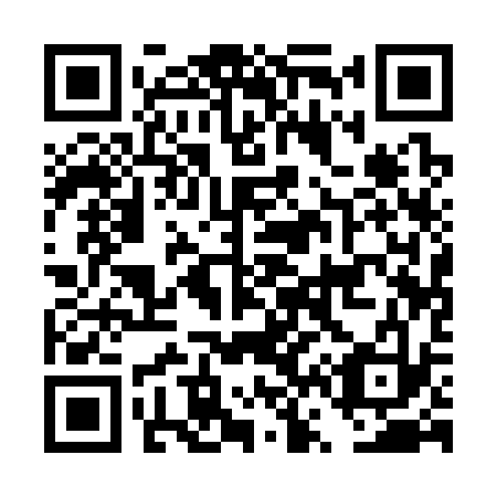 QR code for DV 1333