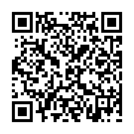 QR code for DV 1996
