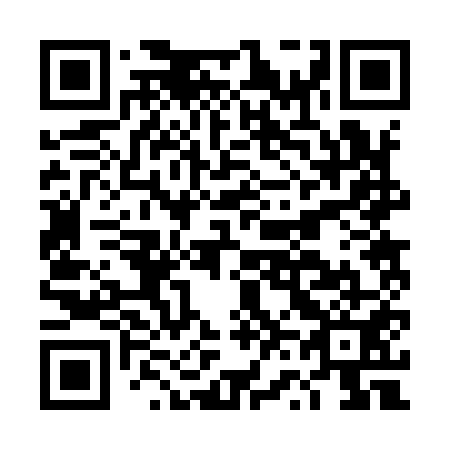 QR code for DV 2951