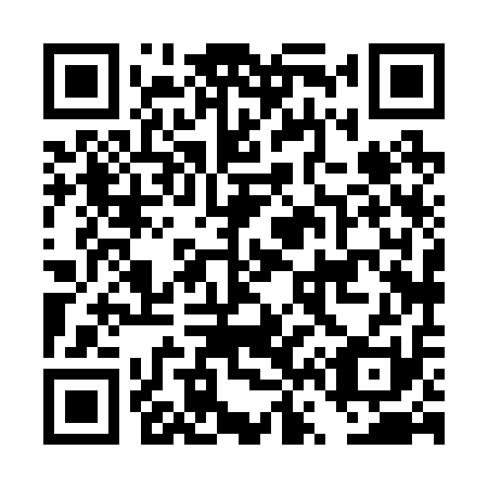 QR code for DV 8211
