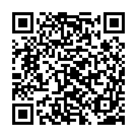 QR code for DV 9153