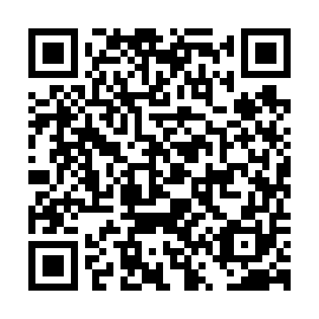 QR code for DV 9650