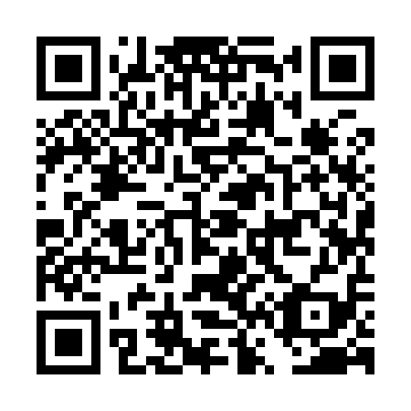 QR code for DV 9919