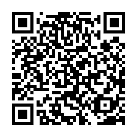QR code for plate DV 0538