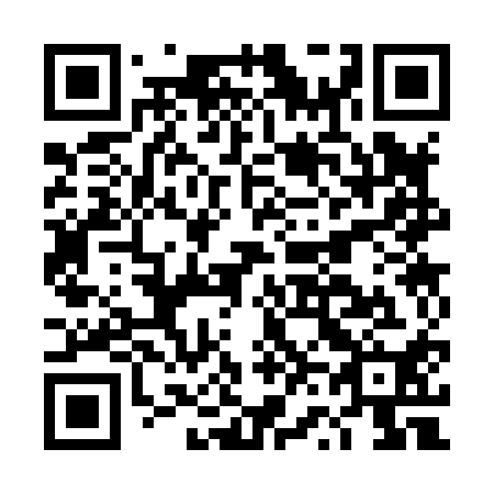 QR code for plate DV 3810