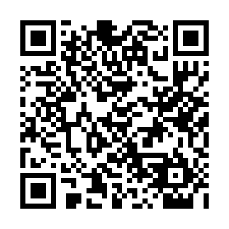 QR code for DV4295
