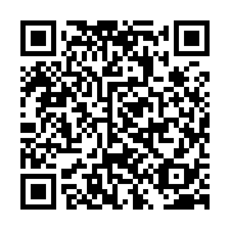 QR code for DV9938