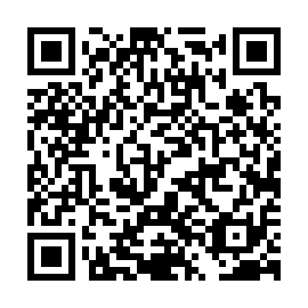 QR code for DVD311
