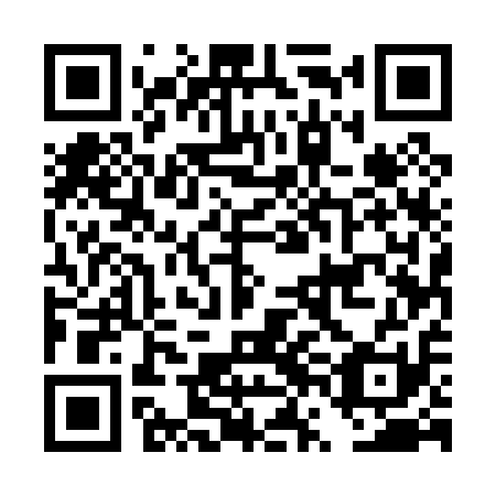 QR code for DVE 011