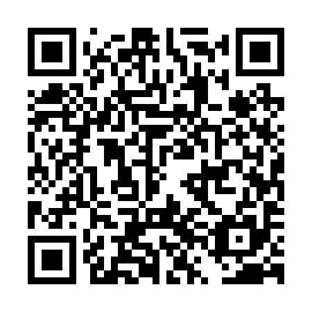 QR code for DVE 295