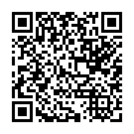 QR code for DVG381